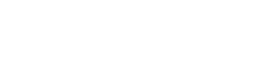 Force Arrester Logo_White