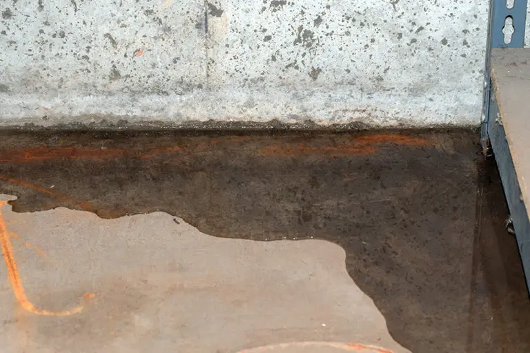 Water pooling on a concrete basement floor next to a concrete wall, indicating a leak or water intrusion problem.