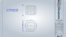 R32 Hex Nut