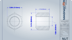 R51 Hex Nut