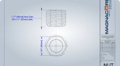 R32 Hex Nut