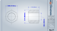 R51 Hex Nut